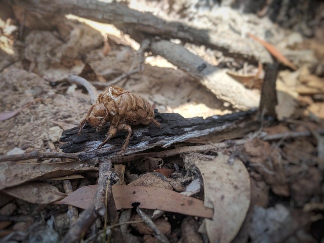 IMG_20181025_155320-01