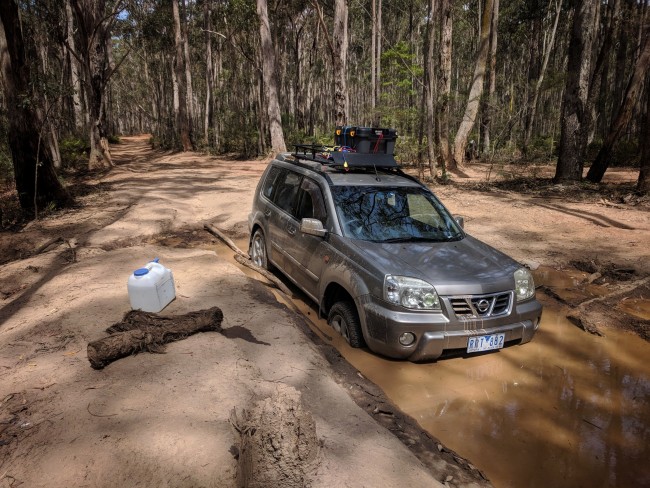 IMG_20181102_142534-01