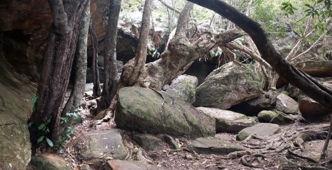 PANO_20181102_115757-01