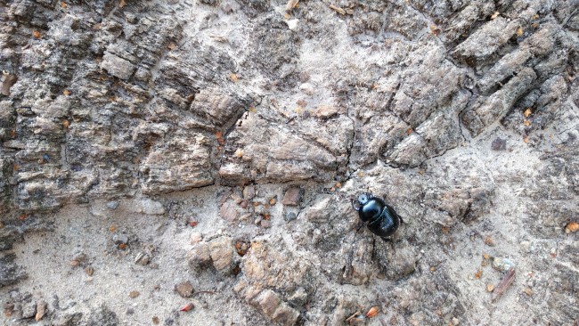 IMG_20170730_173626-01