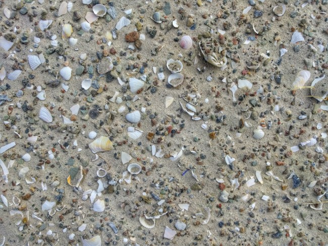 IMG_20160619_155322-01