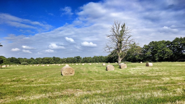 IMG_20160619_173429-01