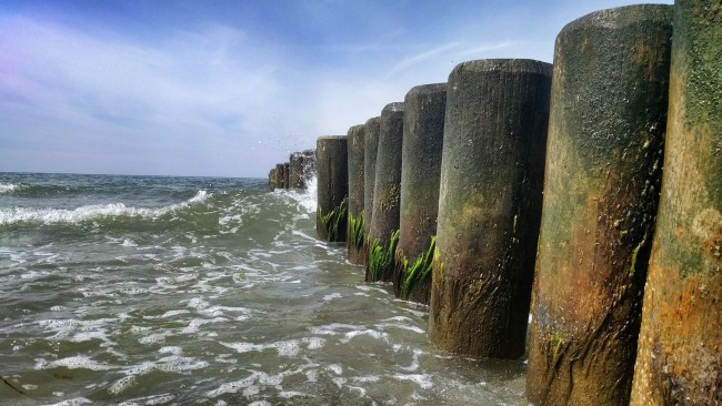 IMG_20160620_144802-01