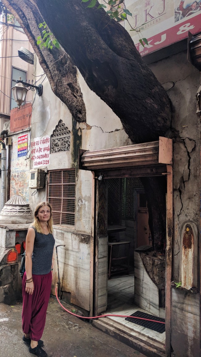 IMG_20180924_164903-01